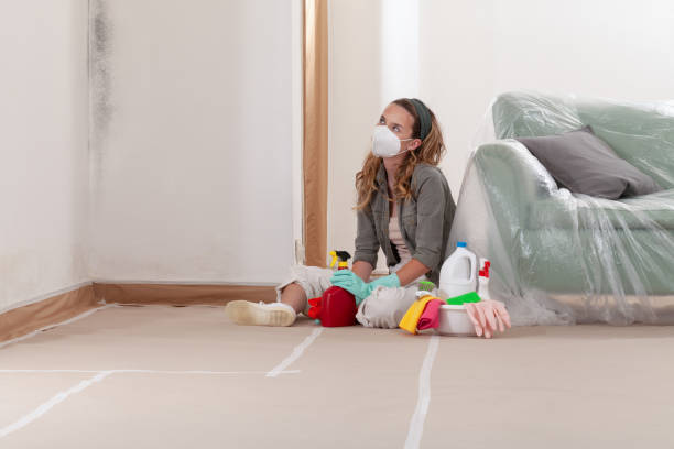 Reliable Black Mold Removal contractor in Beech Creek, PA by WQB Mold Removal